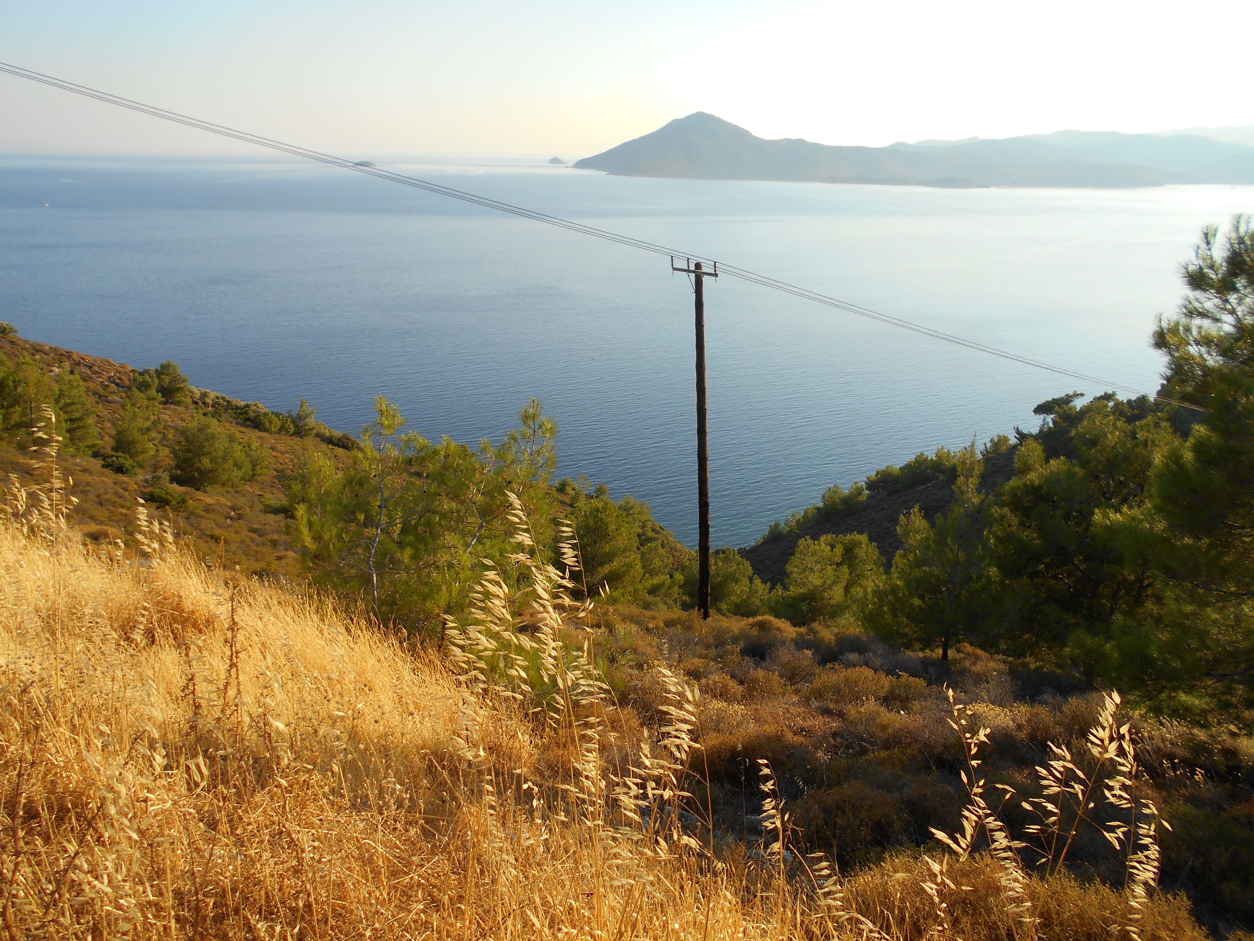 Rural Lesvos